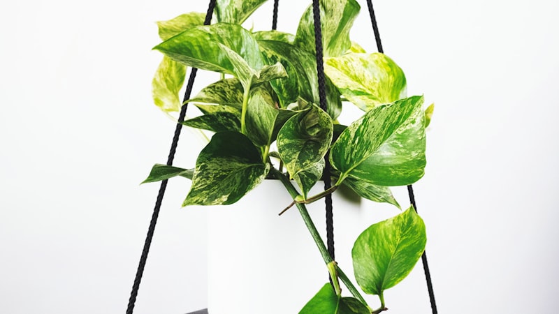 2026年世界杯赛程表最新分组与比赛时间详情